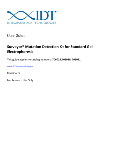 Surveyor&reg; Mutation Detection Kit for standard gel electrophoresis