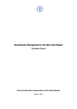Groundwater Management in the Near East Region