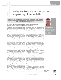 Cartilage matrix degradation: an appropriate therapeutic target in