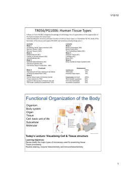PG1006Lecture1 Visualising Human Tissue Structure