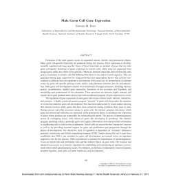 Male Germ Cell Gene Expression