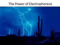 The Power of Electrophoresis - Carroll Education Foundation