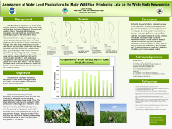 View the full poster in a separate window