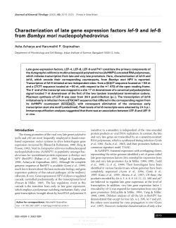 Characterization of late gene expression factors lef-9 and lef