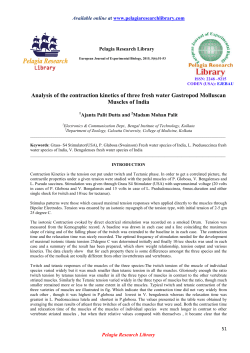 Analysis of the contraction kinetics of three fresh water