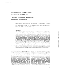BIOGENESIS OF ENDOPLASMIC RETICULUM MEMBRANES I