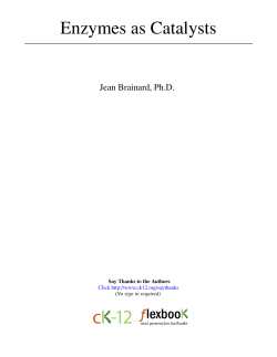 Enzymes as Catalysts