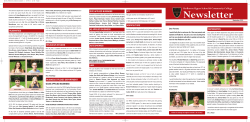 Newsletter summer 2013