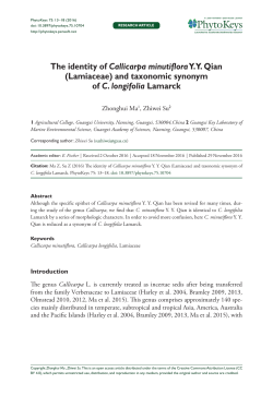The identity of Callicarpa minutiflora YY Qian