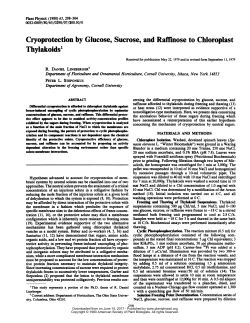 Thylakoids`