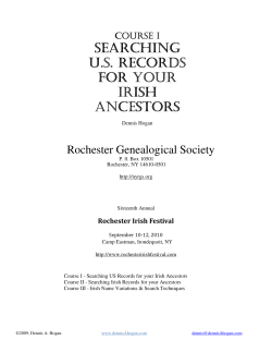 searching us records for your irish ancestors