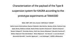 Characterization of the payload of the Type B suspension system for