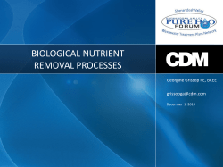 Biological Nutrient Removal Processes