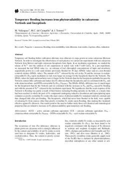 Temporary flooding increases iron phytoavailability in