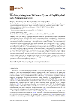 The Morphologies of Different Types of Fe2SiO4&ndash;FeO in Si