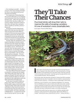 They`ll Take Their Chances