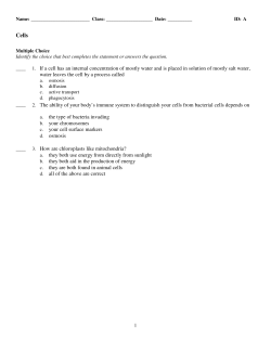 ExamView - Cells.tst