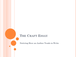 THE CRAFT ESSAY