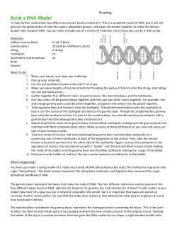 Build a DNA Model