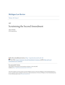 Scrutinizing the Second Amendment