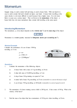 Momentum