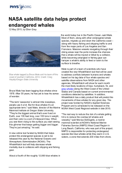 NASA satellite data helps protect endangered whales