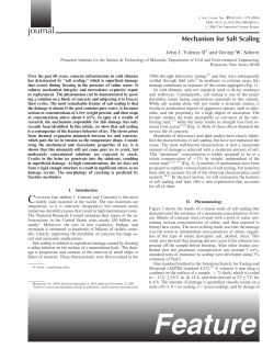 Feature - George Scherer`s Materials Research Group