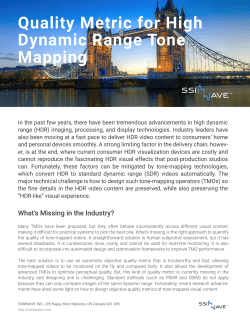 Quality Metric for High Dynamic Range Tone Mapping