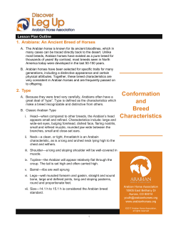 Conformation and Breed Characteristics