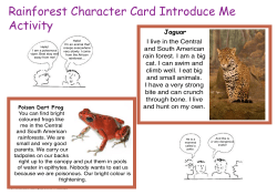 Rainforest Character Card Introduce Me Activity
