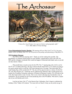 The Archosaur - The Fossil Forum