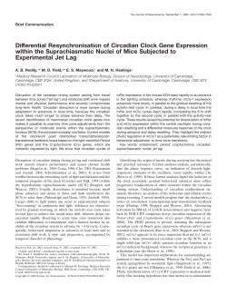 Differential Resynchronisation of Circadian Clock Gene Expression