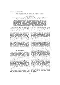 THE RHIPIDISTIAN - AMPHIBIAN TRANSITION