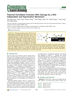 Polyvinyl Pyrrolidone Promotes DNA Cleavage by a ROS