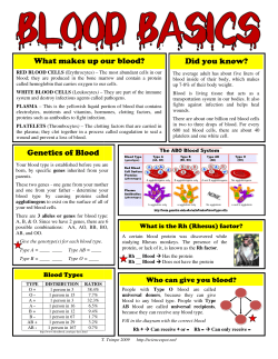 Genetics of Blood What makes up our blood