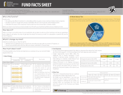fund facts sheet - Golden Opportunities Fund Inc.