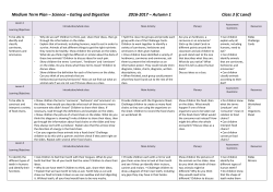 Medium Term Plan &ndash; Geography: Investigating Coasts