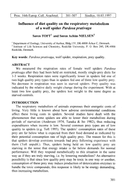 Influence of diet quality on the respiratory metabolism