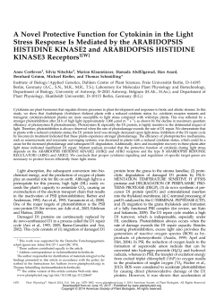 A Novel Protective Function for Cytokinin in the