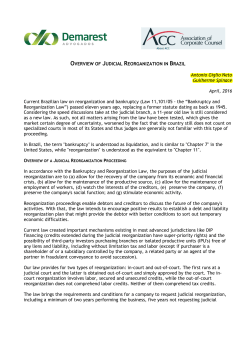OVERVIEW OF JUDICIAL REORGANIZATION IN BRAZIL Antonio