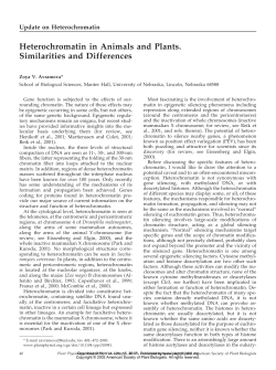 Heterochromatin in Animals and Plants. Similarities and Differences