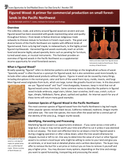 Figured Wood - Know Your Forest