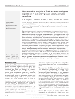 Genome-wide analysis of DNA turnover and gene