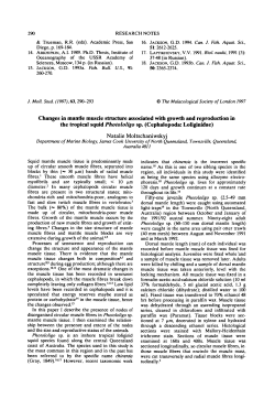 Changes in mantle muscle structure associated with growth and