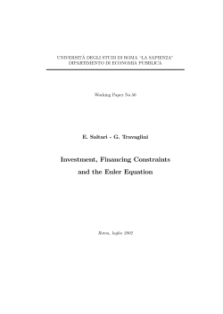 Investment, Financing Constraints and the Euler Equation