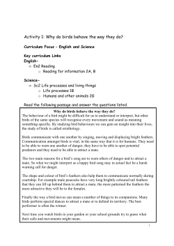 Activity 1: Why do birds behave the way they do?