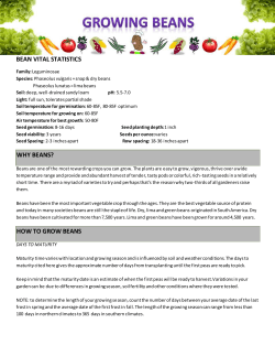 BEAN VITAL STATISTICS WHY BEANS? HOW TO GROW BEANS
