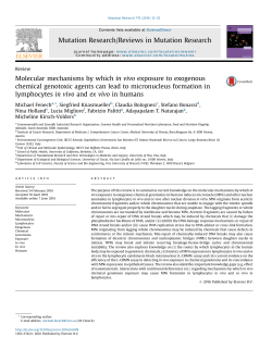 Molecular mechanisms by which in vivo exposure to exogenous