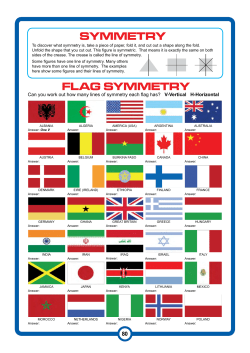 FLAG SYMMETRY SYMMETRY