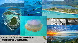 Indian ocean - cloudfront.net